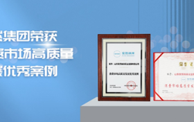 安然集团荣获中国消费市场高质量发展优秀案例